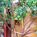 Large Artificial Eucalyptus Tree (Brown Trunk, Green Mixed Foliage)