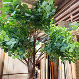 Large Artificial Eucalyptus Tree (Brown Trunk, Green Mixed Foliage)