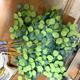 Large Artificial Eucalyptus Tree (Brown Trunk, Green Mixed Foliage)